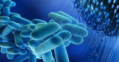 Legionella testing and risk assessment North London